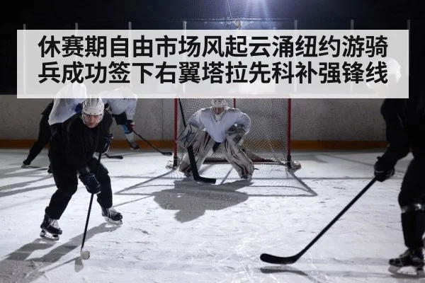休赛期自由市场风起云涌纽约游骑兵成功签下右翼塔拉先科补强锋线
